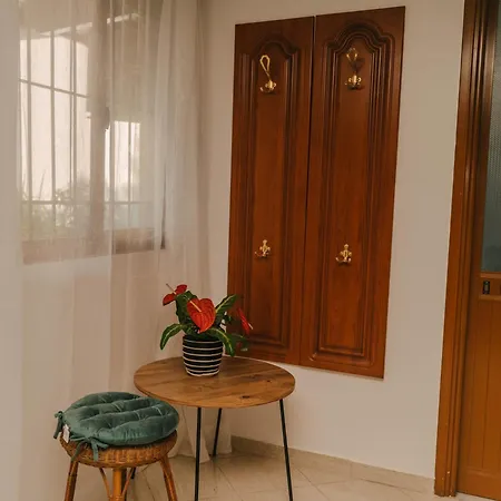 Peaceful In New Bazaar Tirana